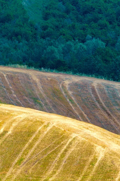 ラヴェンナ州 エミリア ロマーニャ州 イタリア リオロ テルメとブリシエラの近くの丘の上の国の風景 — ストック写真
