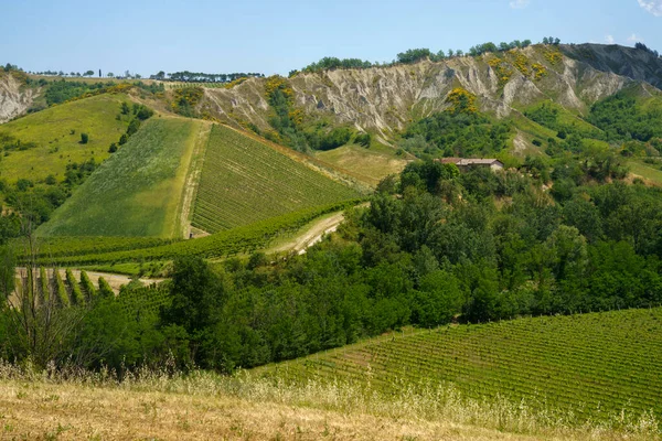 Paesaggio Rurale Sulle Colline Della Provincia Ravenna Emilia Romagna Italia — Foto Stock