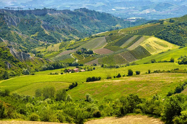 Country Landscape Hills Bologna Province Emilia Romagna Italy Imola Riolo — Stock Photo, Image