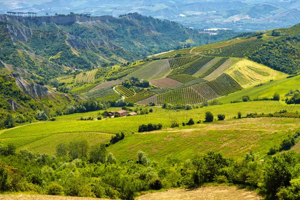 Krajina Kopcích Provincii Boloňa Emilia Romagna Itálie Poblíž Imoly Riola — Stock fotografie