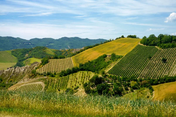 Landschap Heuvels Provincie Bologna Emilia Romagna Italië Bij Imola Riolo Stockafbeelding