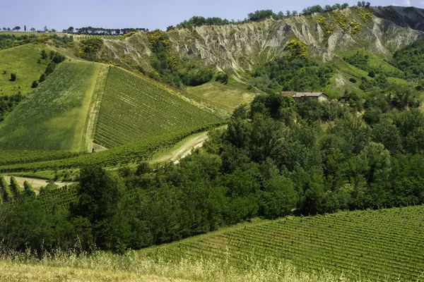 Landschaft Auf Den Hügeln Der Provinz Ravenna Emilia Romagna Italien — Stockfoto