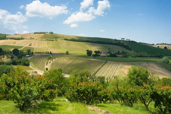 Paisaje Rural Las Colinas Provincia Rávena Emilia Romaña Italia Cerca —  Fotos de Stock