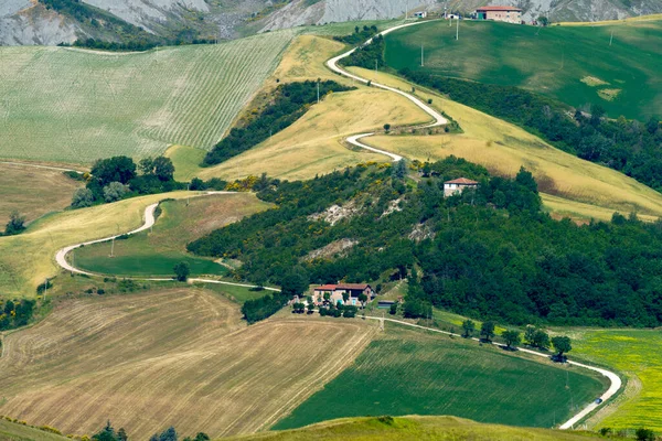 Paesaggio Rurale Sulle Colline Della Provincia Bologna Emilia Romagna Italia — Foto Stock