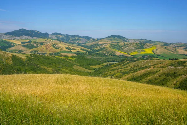 İlkbaharda Imola ve Riolo Terme yakınlarındaki Emilia-Romagna, İtalya 'nın Bologna eyaletindeki tepelerdeki kır manzarası