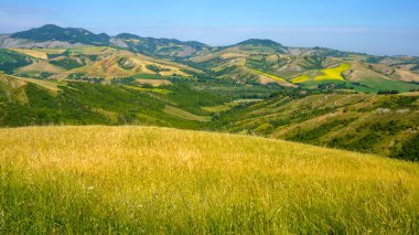 İlkbaharda Imola ve Riolo Terme yakınlarındaki Emilia-Romagna, İtalya 'nın Bologna eyaletindeki tepelerdeki kır manzarası