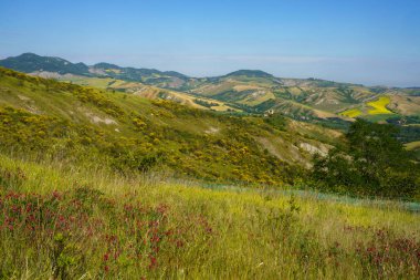 İlkbaharda Imola ve Riolo Terme yakınlarındaki Emilia-Romagna, İtalya 'nın Bologna eyaletindeki tepelerdeki kır manzarası