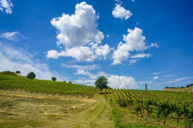 Emilia-Romagna, İtalya 'nın Ravenna eyaletindeki tepelerde, Riolo Terme ve Brisighella yakınlarındaki kırsal alan.
