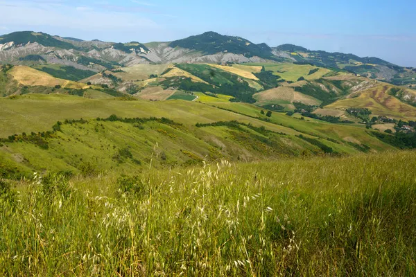 Paysage Rural Sur Les Collines Province Bologne Émilie Romagne Italie — Photo