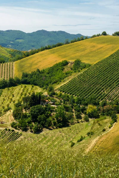 Krajobraz Wiejski Wzgórzach Prowincji Bolonia Emilia Romania Włochy Pobliżu Imoli — Zdjęcie stockowe