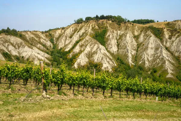 Paisaje Rural Las Colinas Provincia Bolonia Emilia Romaña Italia Cerca — Foto de Stock