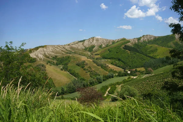 ラヴェンナ州 エミリア ロマーニャ州 イタリア リオロ テルメとブリシエラの近くの丘の上の国の風景 — ストック写真