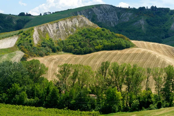 Αγροτικό Τοπίο Στους Λόφους Της Επαρχίας Ραβέννας Emilia Romagna Ιταλία — Φωτογραφία Αρχείου