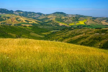 İlkbaharda Imola ve Riolo Terme yakınlarındaki Emilia-Romagna, İtalya 'nın Bologna eyaletindeki tepelerdeki kır manzarası