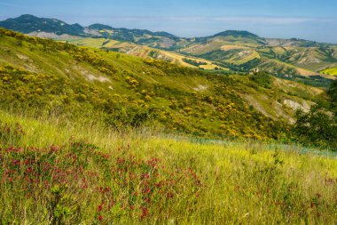 İlkbaharda Imola ve Riolo Terme yakınlarındaki Emilia-Romagna, İtalya 'nın Bologna eyaletindeki tepelerdeki kır manzarası
