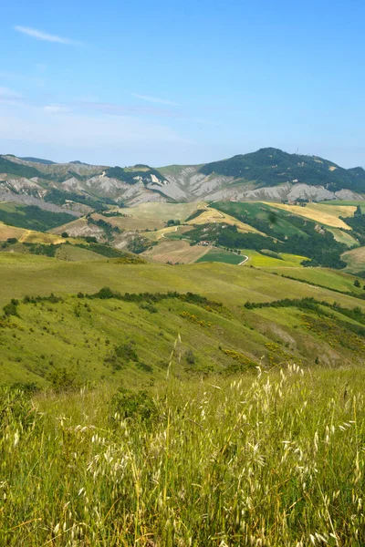 İlkbaharda Imola ve Riolo Terme yakınlarındaki Emilia-Romagna, İtalya 'nın Bologna eyaletindeki tepelerdeki kır manzarası