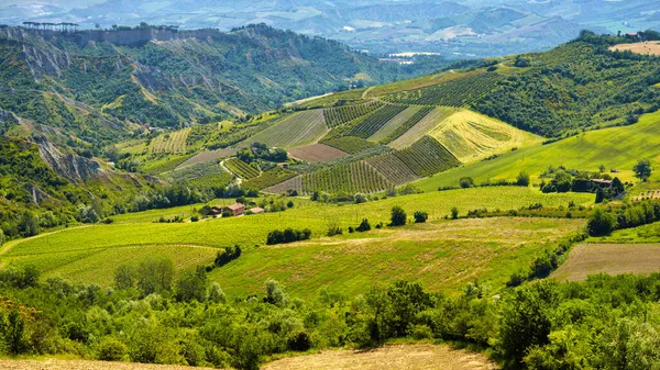 Landskap Kullarna Bologna Provinsen Emilia Romagna Italien Nära Imola Och — Stockfoto