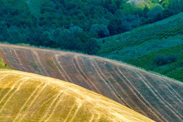 Country Landscape Hills Ravenna Province Emilia Romagna Italy Riolo Terme — Stock Photo, Image