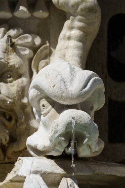 Cesena, Emilia-Romagna, İtalya: kale meydanındaki tarihi çeşme