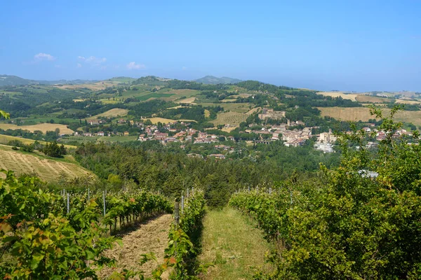Paisaje Rural Cerca Castrocaro Predappio Provincia Forli Emilia Romaña Italia — Foto de Stock