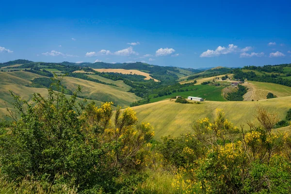 Landskap Nær Castrocaro Predappio Forli Provinsen Emilia Romagna Italia Våren – stockfoto