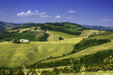 Castrocaro ve Predappio yakınlarındaki kır manzarası, Forli ili, Emilia-Romagna, İtalya, ilkbahar zamanı