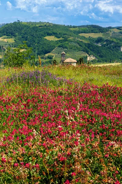 Emilia Romagna Talya Nın Ravenna Eyaletindeki Tepelerde Riolo Terme Brisighella — Stok fotoğraf