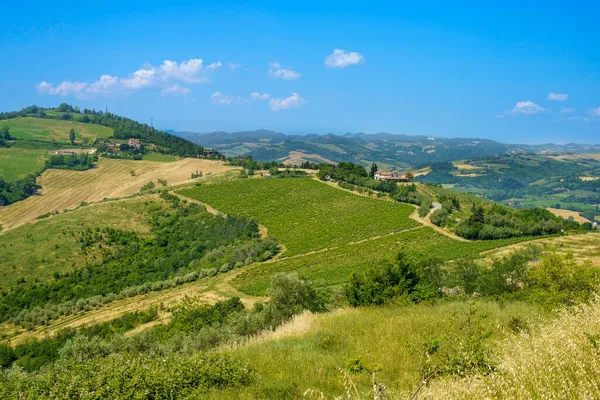 Landskap Nära Castrocaro Och Predappio Forli Provinsen Emilia Romagna Italien — Stockfoto