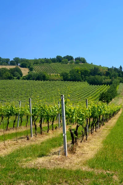 Paisaje Rural Por Carretera Meldola Bertinoro Cerca Fratta Terme Provincia —  Fotos de Stock