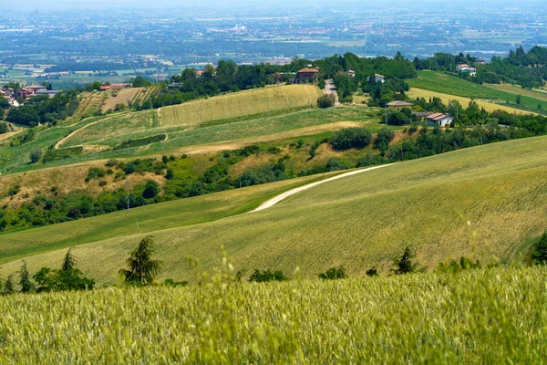 Country Landscape Meldola Predappio Forli Province Emilia Romagna Italy Springtime — Stock Photo, Image