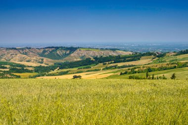 Meldola ve Predappio yakınlarındaki kır manzarası, Forli ili, Emilia-Romagna, İtalya, ilkbahar zamanı