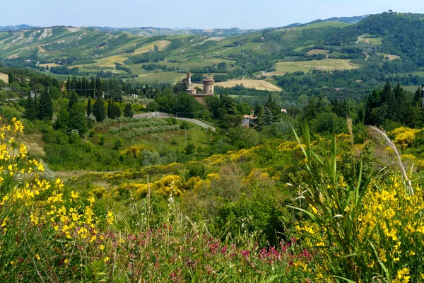 拉文纳省山区的乡村风景 意大利埃米莉亚 罗马纳 靠近Riolo Terme和Brisighella — 图库照片