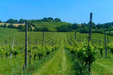 İlkbaharda Meldola 'dan Bertinoro' ya, Fratta Terme, Forli Cesena, Emilia-Romagna, İtalya 'ya giden yol boyunca uzanan kır manzarası