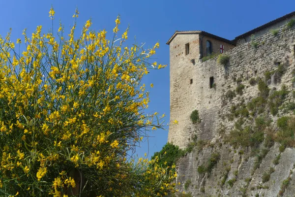 Castrocaro Terme Provincie Forli Emilia Romagna Itálie Středověký Hrad — Stock fotografie