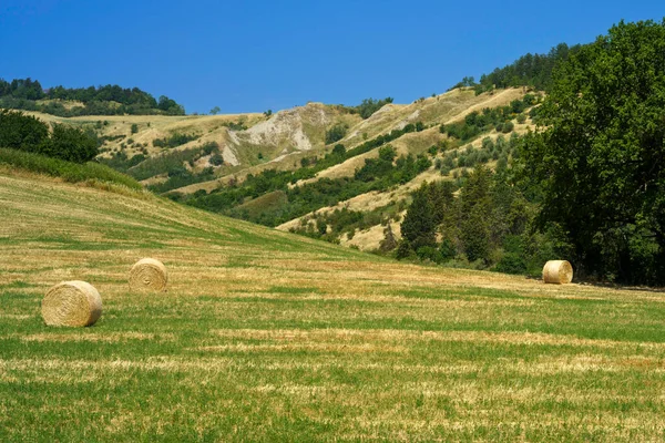 Country Landscape Castrocaro Predappio Forli Province Emilia Romagna Italy Springtime — Stock Photo, Image