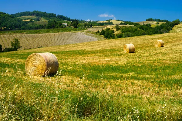 Krajina Poblíž Castrocaro Predappio Provincie Forli Emilia Romagna Itálie Jaře — Stock fotografie