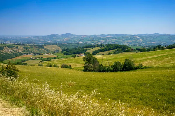 Country Landscape Meldola Predappio Forli Province Emilia Romagna Italy Springtime — Stock Photo, Image