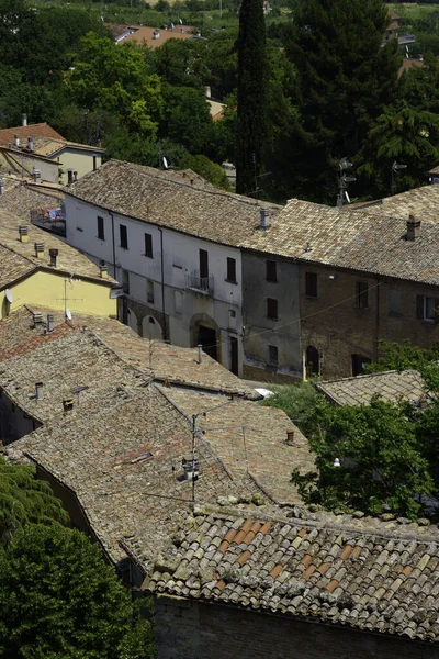 Bertinoro Provinz Forli Cesena Emilia Romagna Italien Panoramablick — Stockfoto