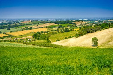 Bertinoro, Forli Cesena ili, Emilia-Romagna, İtalya: panoramik manzara