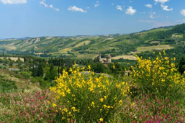 Krajina Kopcích Provincii Ravenna Emilia Romagna Itálie Blízkosti Riolo Terme — Stock fotografie