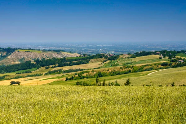Krajina Poblíž Meldoly Predappia Provincie Forli Emilia Romagna Itálie Jaře — Stock fotografie