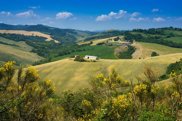 春のイタリア エミリア ロマーニャ州フォルリ州のCastrocaroとPredappio近くの国の風景 — ストック写真