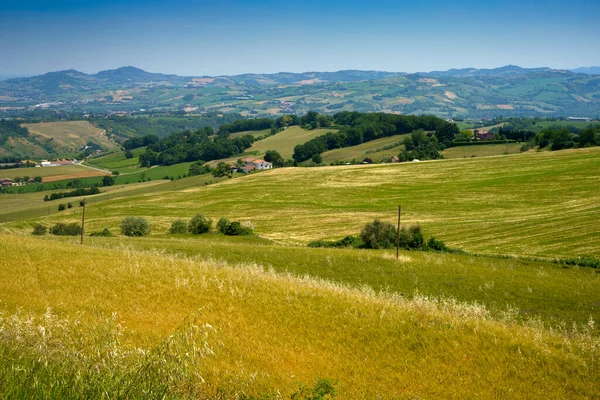 意大利埃米利亚 罗马纳Forli省Meldola和Predappio附近的乡村景观 — 图库照片