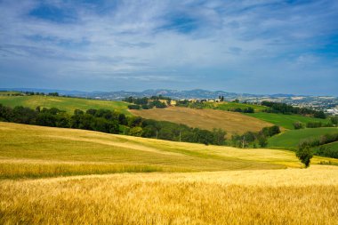 İlkbaharda Fano 'dan Mondavio' ya, Pesaro 'ya, Urbino' ya, Marche, İtalya
