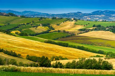 İlkbaharda Fano 'dan Mondavio' ya, Pesaro 'ya, Urbino' ya, Marche, İtalya