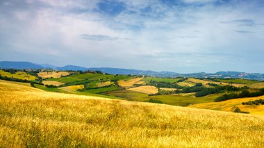 İlkbaharda Fano 'dan Mondavio' ya, Pesaro 'ya, Urbino' ya, Marche, İtalya