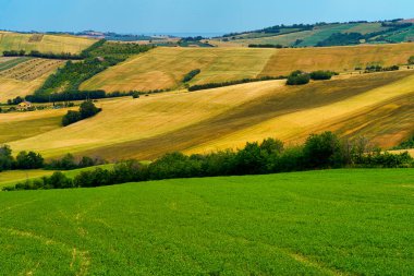 İlkbaharda Fano 'dan Mondavio' ya, Pesaro 'ya, Urbino' ya, Marche, İtalya