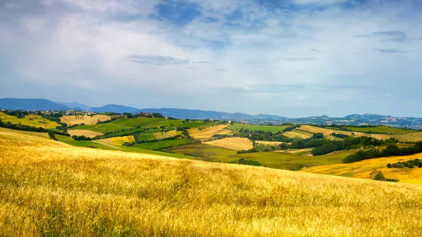 Landschaft Frühling Entlang Der Straße Von Fano Nach Mondavio Provinz — Stockfoto