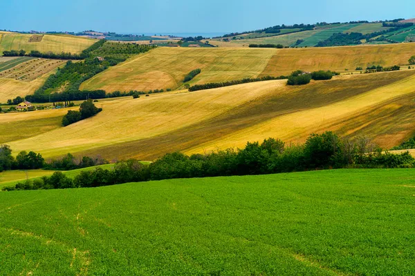 Paisagem Rural Primavera Longo Estrada Fano Mondavio Província Pesaro Urbino — Fotografia de Stock