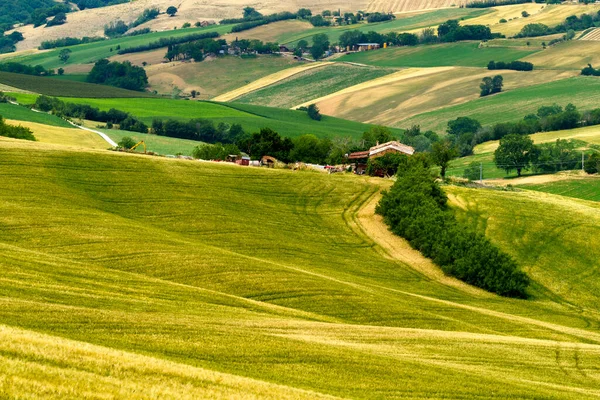 Paisagem Rural Primavera Longo Estrada Fano Mondavio Província Pesaro Urbino — Fotografia de Stock